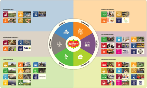 DMPL SDGs