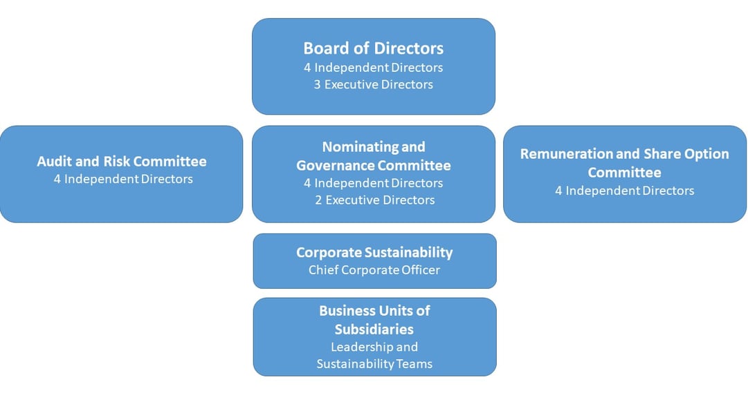 Governance Infographic v3 ICOS discussion
