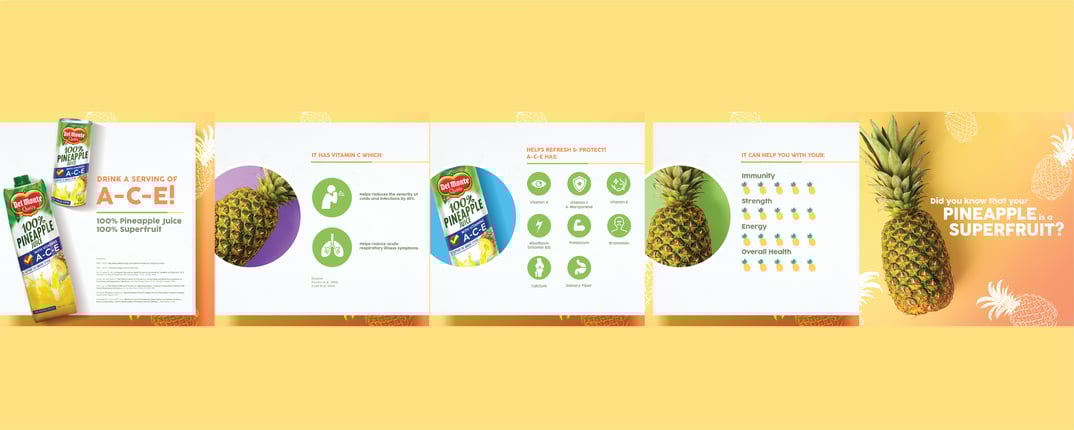 del monte website-02