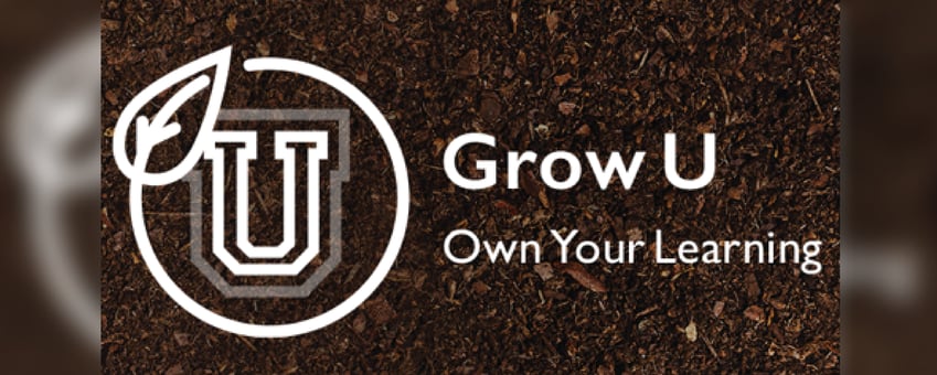 grow u-01