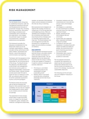 Risk mgmt FY22 AR thumbnail