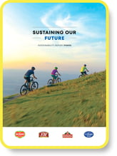 Sustainability Report IMG